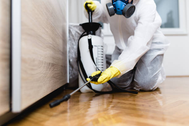 Best Wasp Removal Services  in Estill, SC