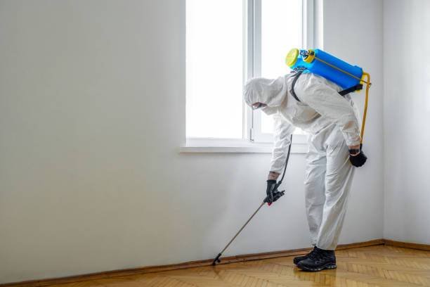 Best Pest Control Near Me  in Estill, SC
