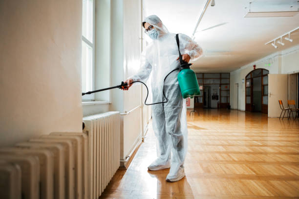 Best Cockroach Control Services  in Estill, SC