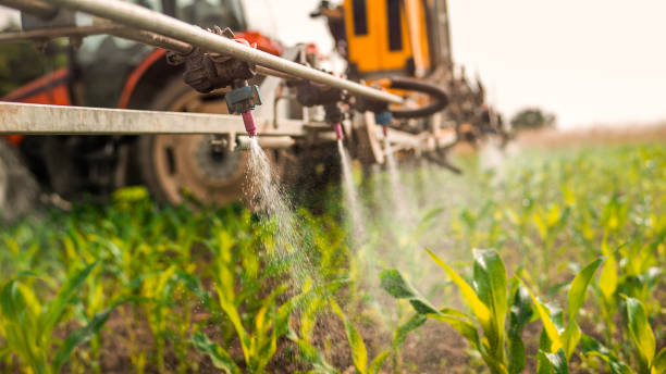 Best Commercial Pest Control Services  in Estill, SC